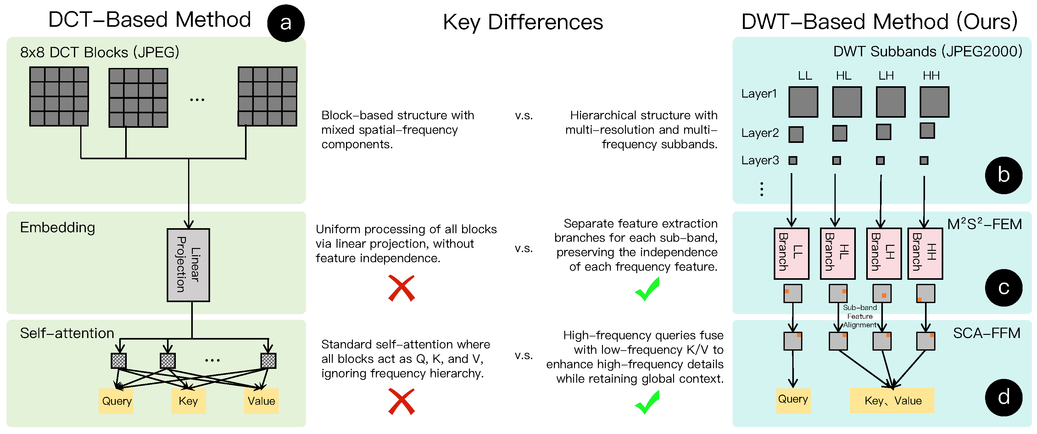 WaveletHSI: Direct HSI Classification from Compressed Wavelet Coefficients via Sub-Band Feature Extraction and Fusion